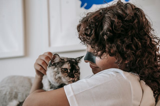 cat with owner